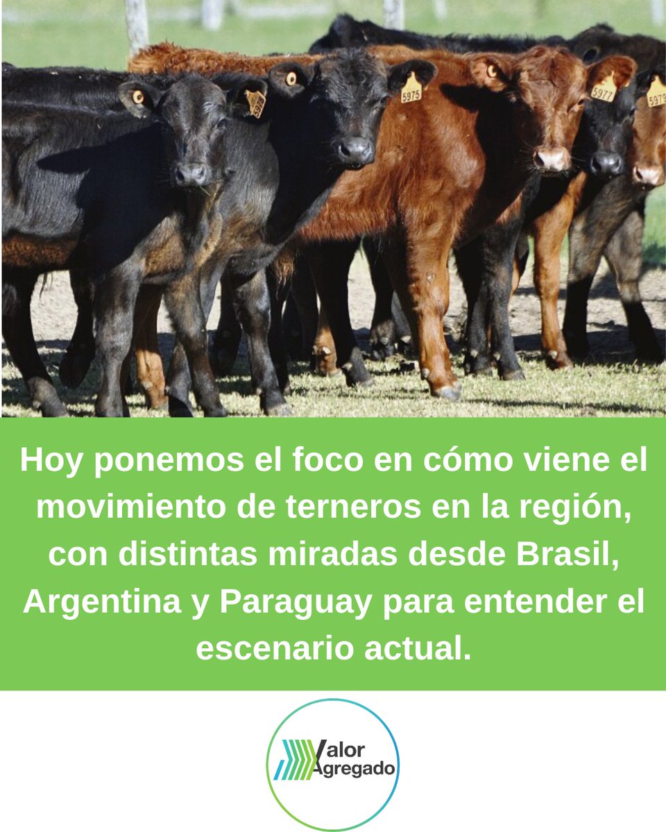 Valor Agregado tweet media