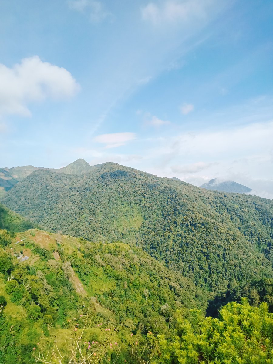 Semar Sesion tweet media