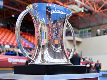 Federación de Castilla y León de Balonmano tweet media