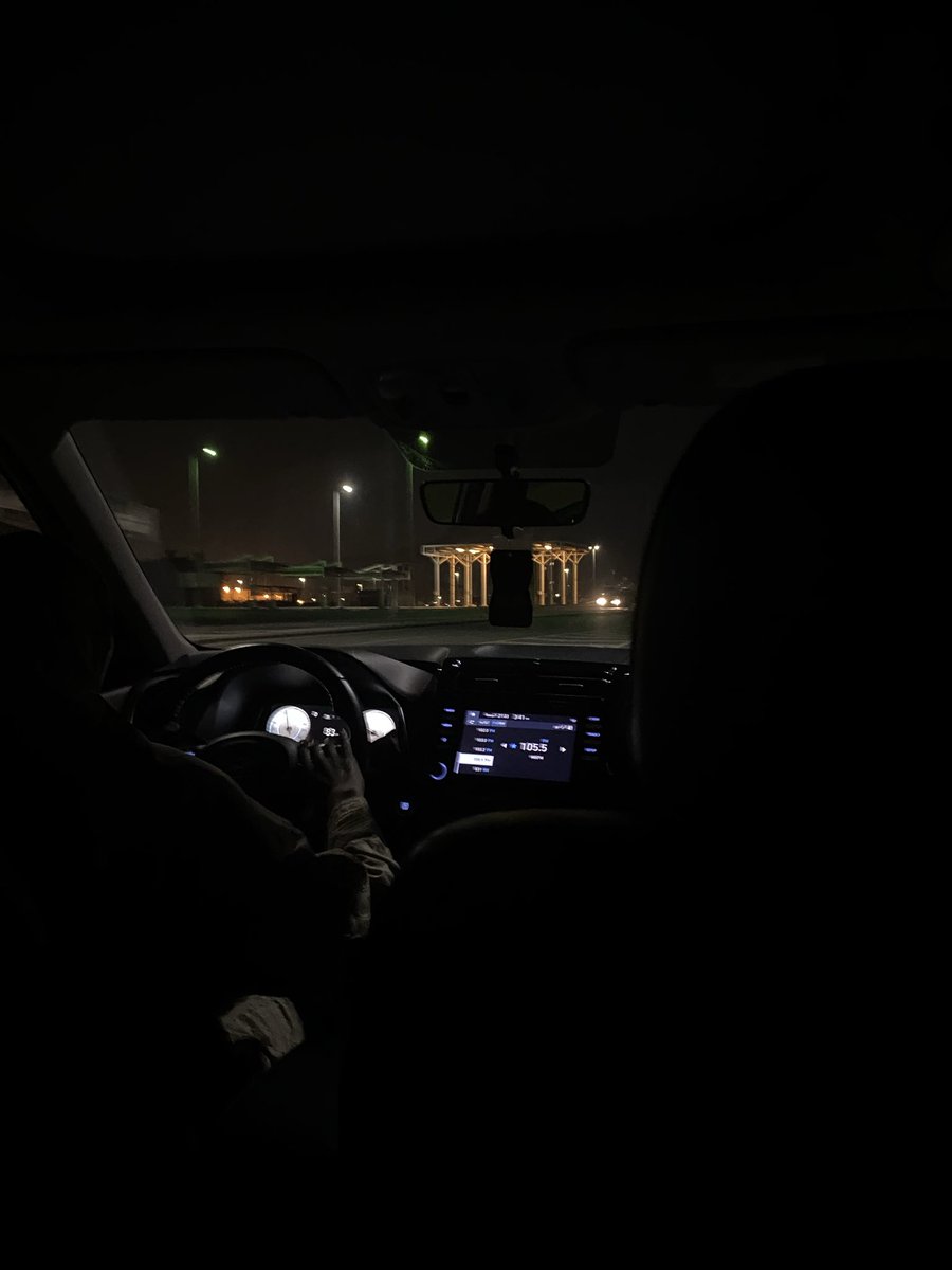 カラス tweet media