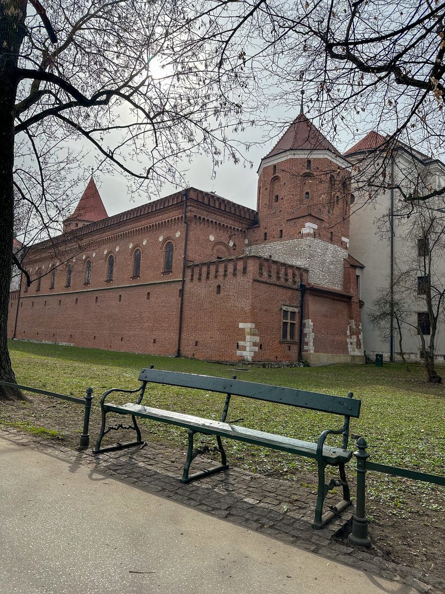 おやさい tweet media