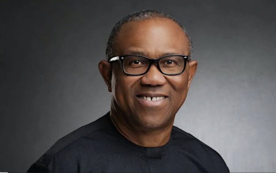 Brother me tweet media