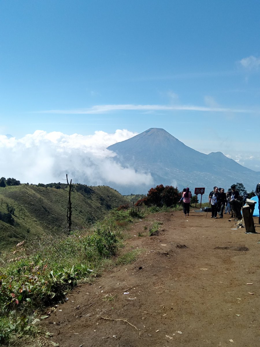 Semar Sesion tweet media