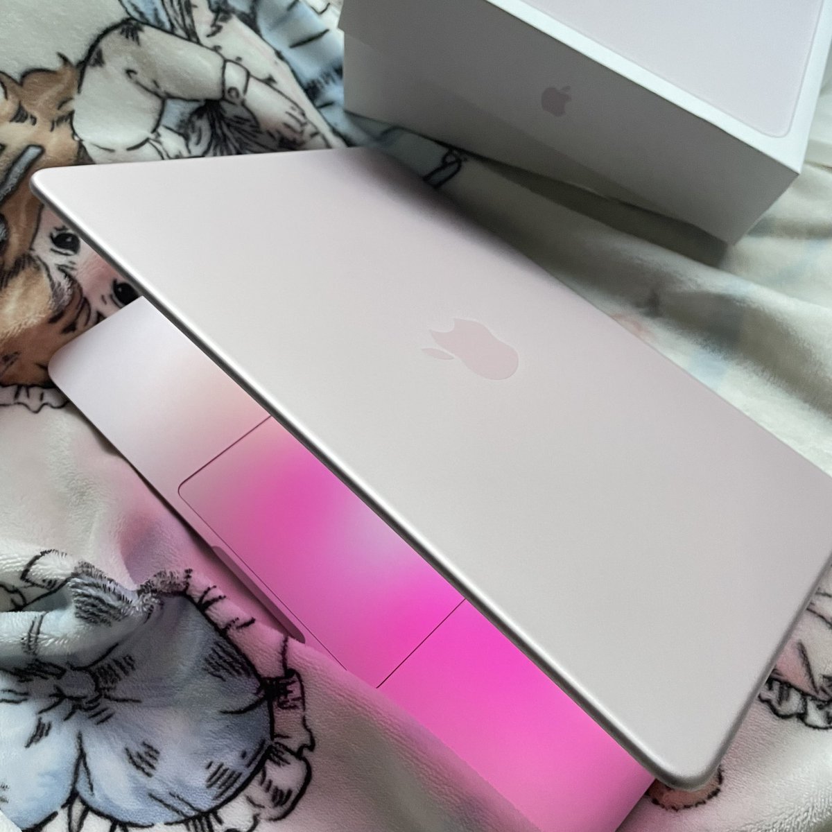 ‎‍ ‍ ݁ ᅠ ᅠᅠ ‍ 𝒫’orcelain . tweet media