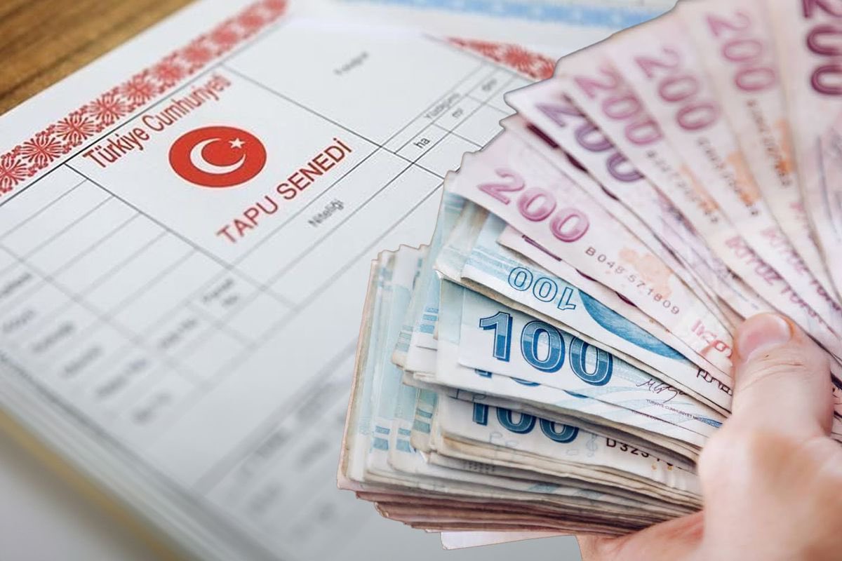 Atakan Bakılan tweet media