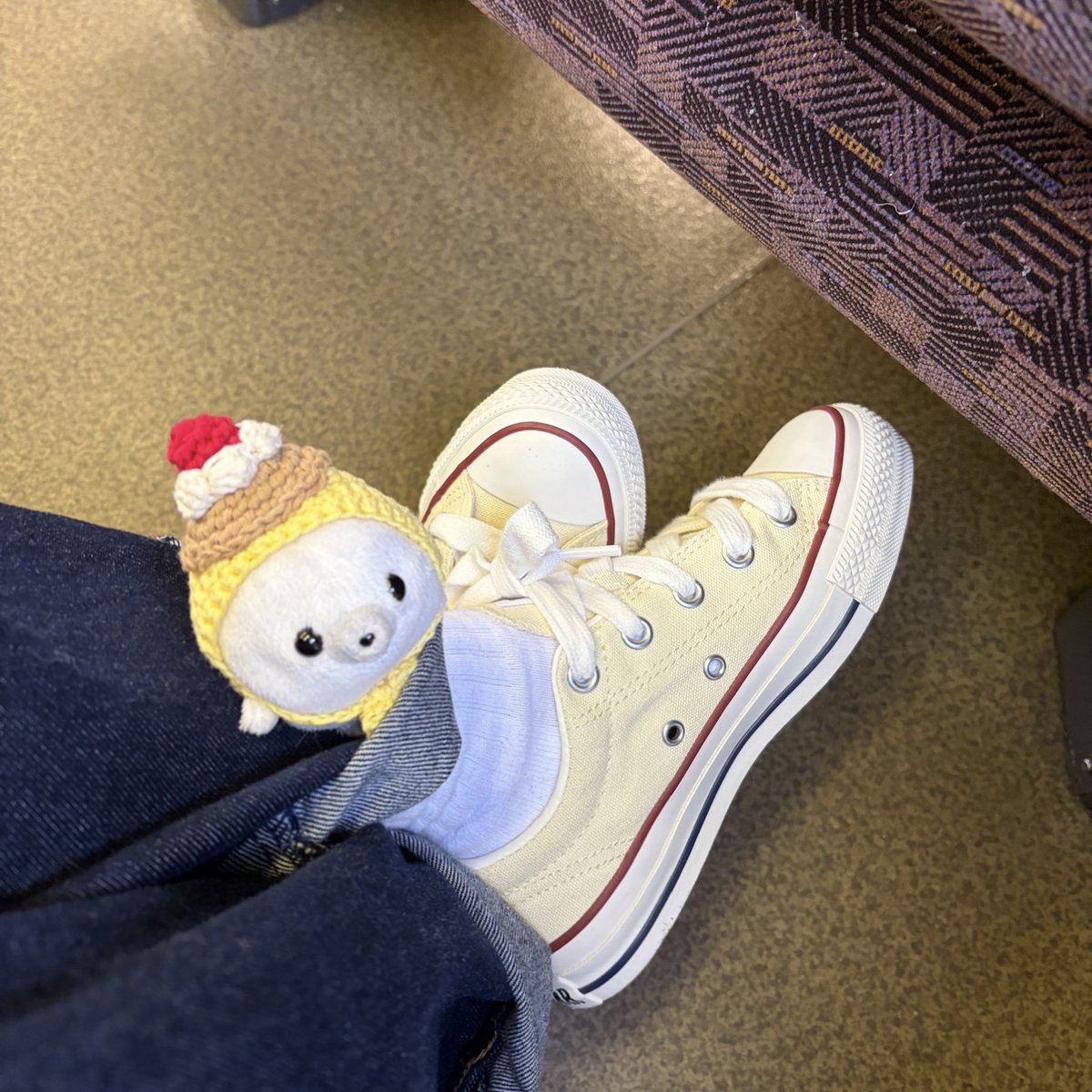 みゃこ tweet media