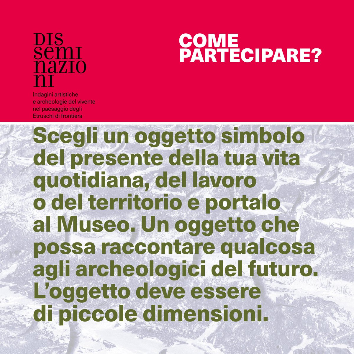MuseoPontecagnano tweet media
