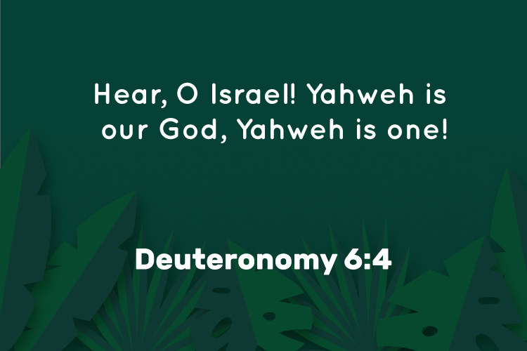 Trinity Lie tweet media