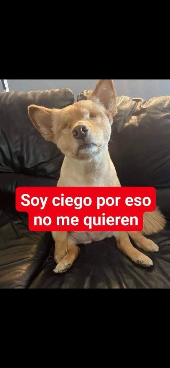 Manu Saenz💛💛 tweet media