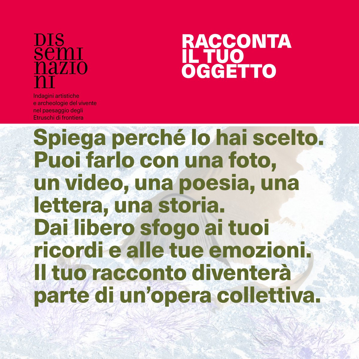 MuseoPontecagnano tweet media