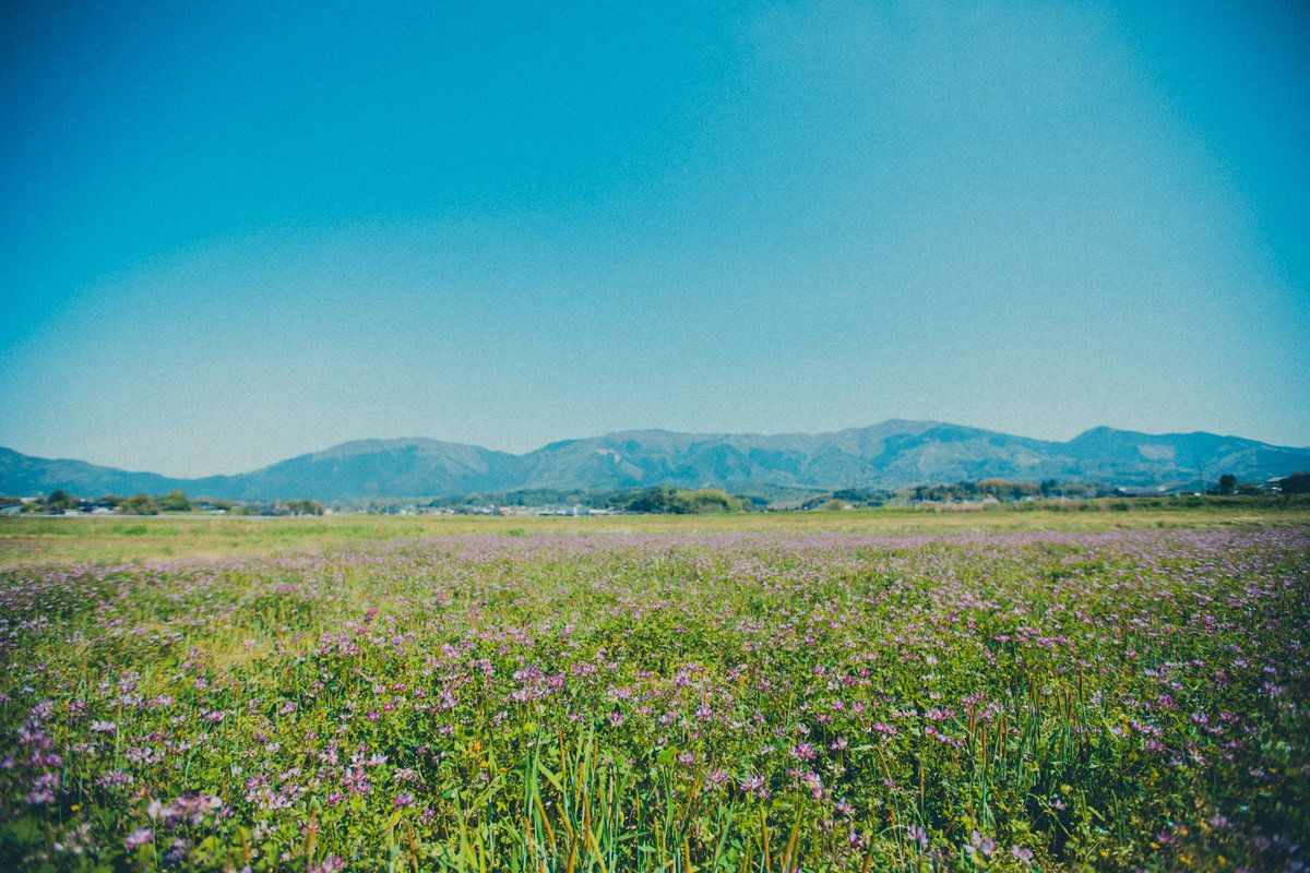 小野雄大/Yudai Ono tweet media