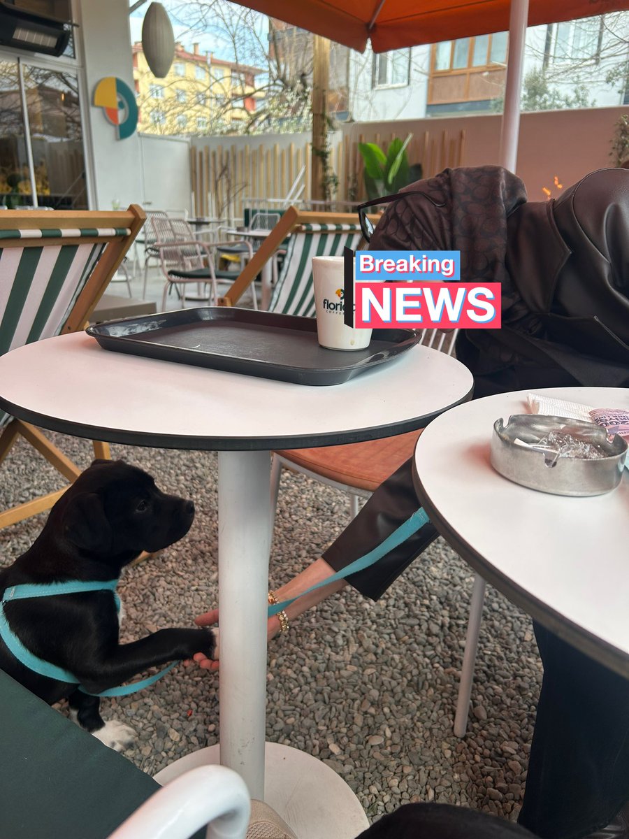 Kara Kedy tweet media