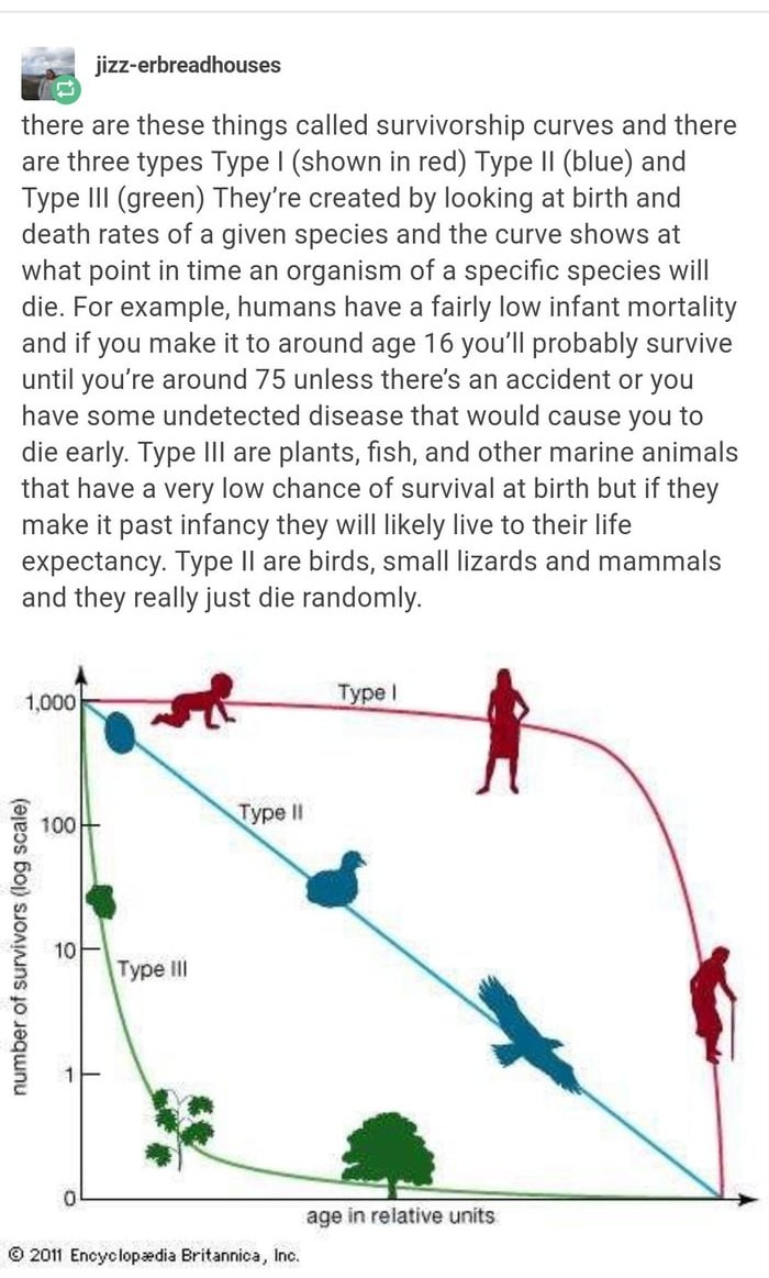 EngineerKnow tweet media