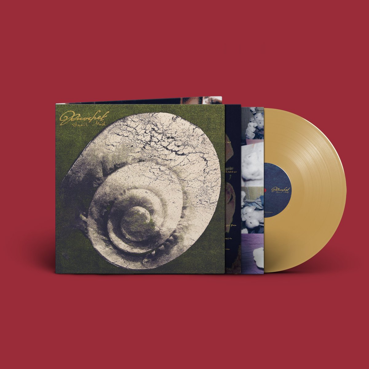 Matador Records tweet media