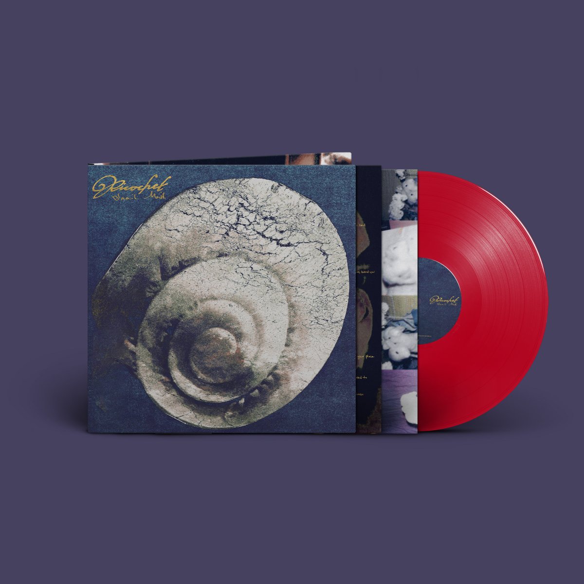 Matador Records tweet media