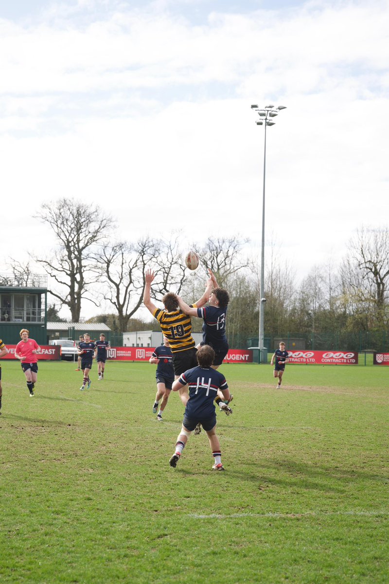 QUB_RUGBY tweet media