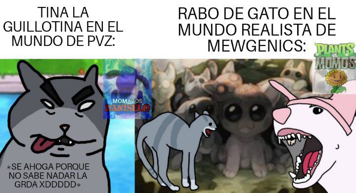 Una hormiga que mira tu post 🐜 tweet media