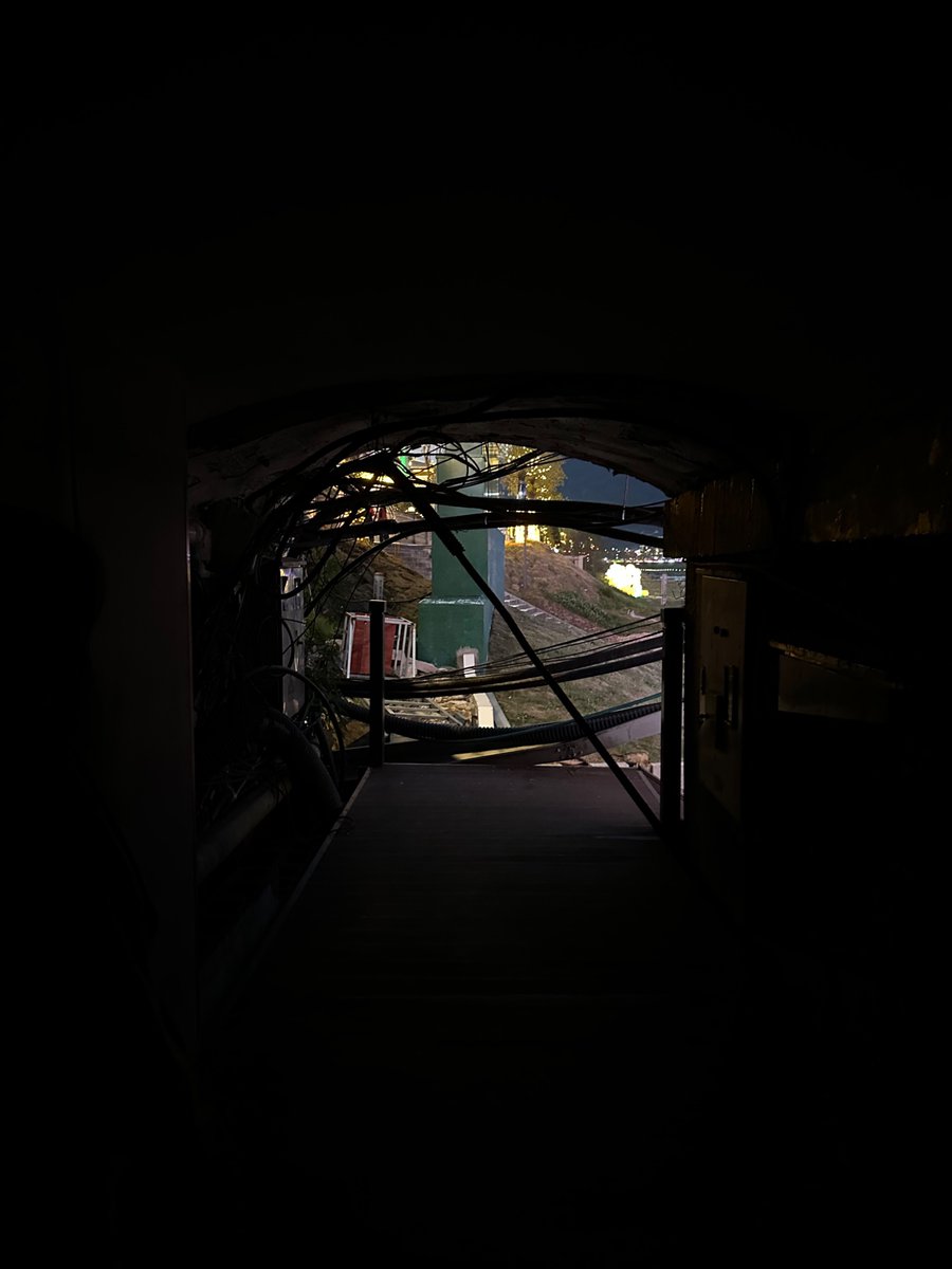 rui skrunkle🟥 tweet media