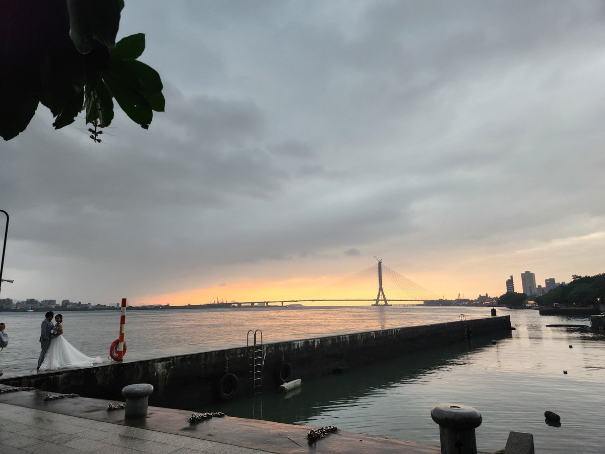 왕새우 tweet media