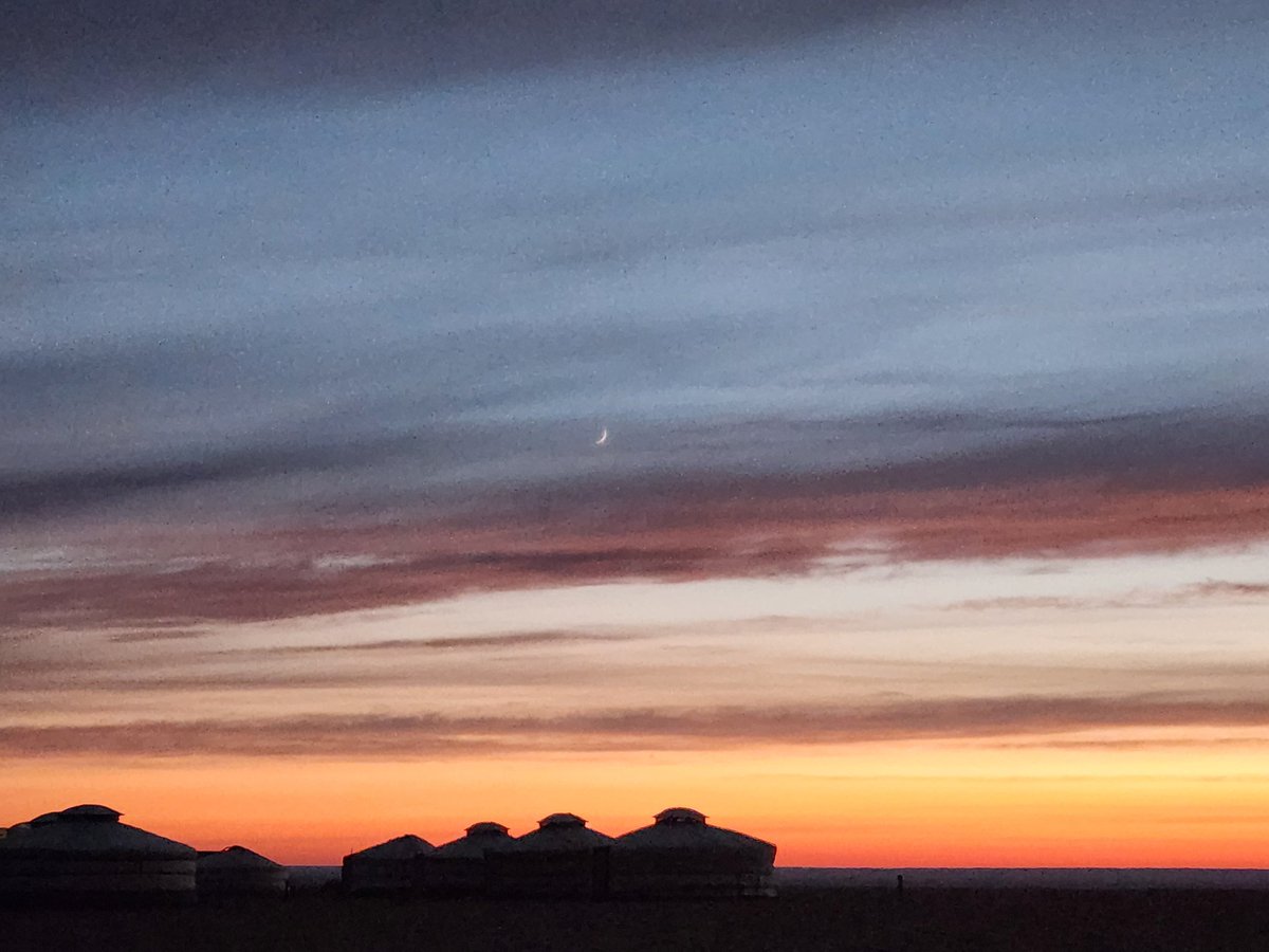 왕새우 tweet media