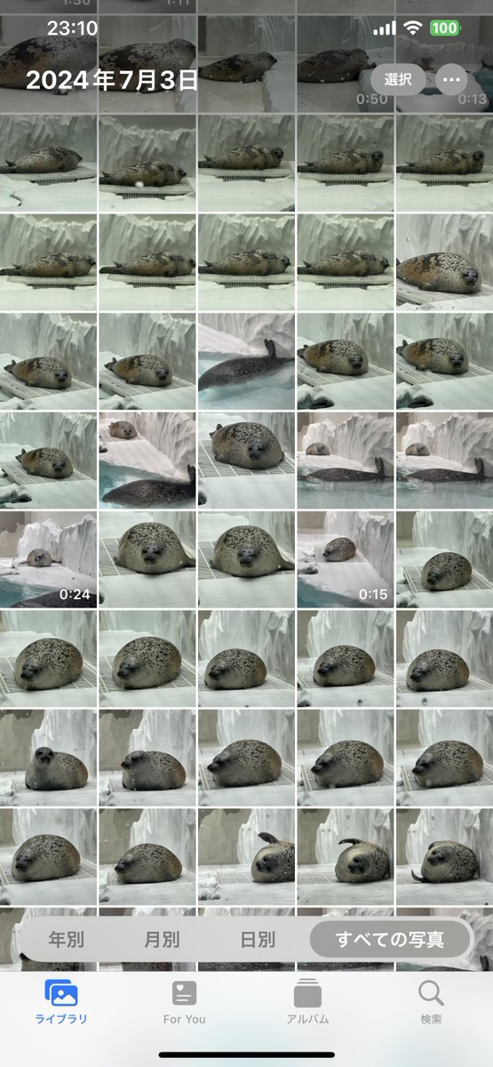 mi🦭🔰 tweet media