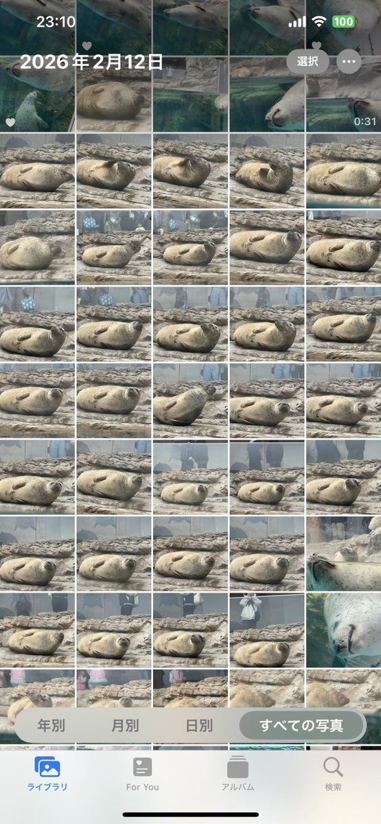 mi🦭🔰 tweet media