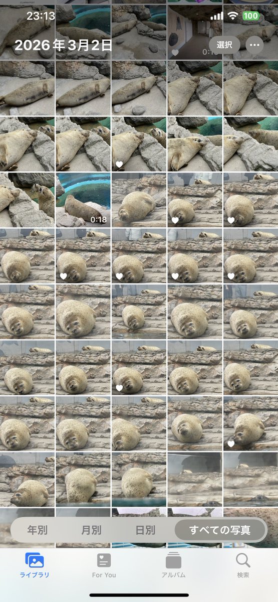 mi🦭🔰 tweet media