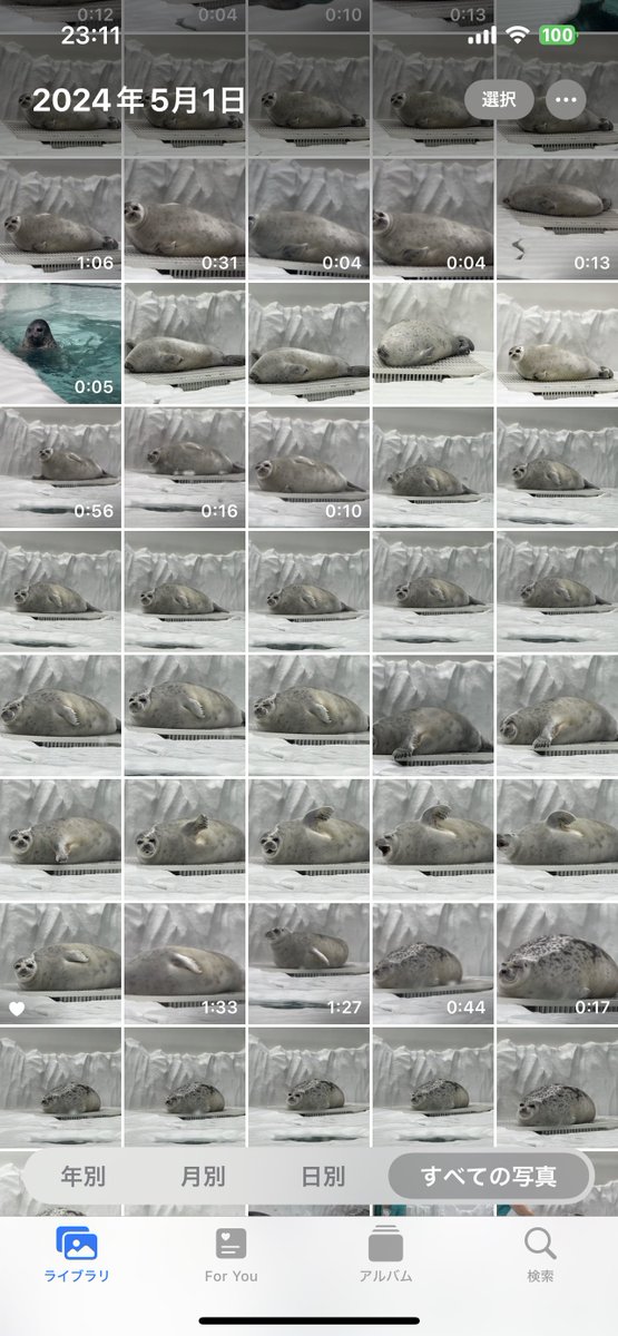 mi🦭🔰 tweet media