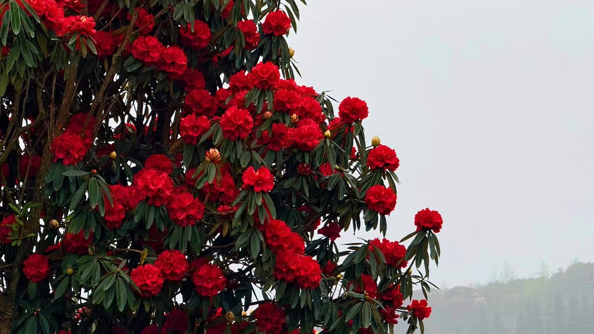 Jarrett Jack(互fo) tweet media