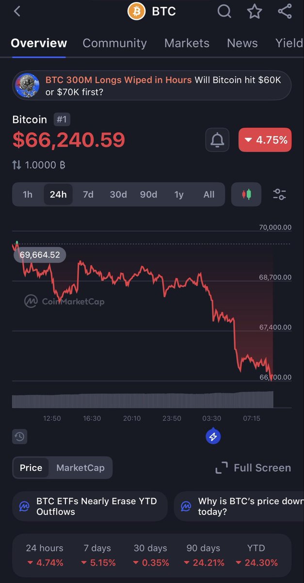 Bitcoin Fire tweet media