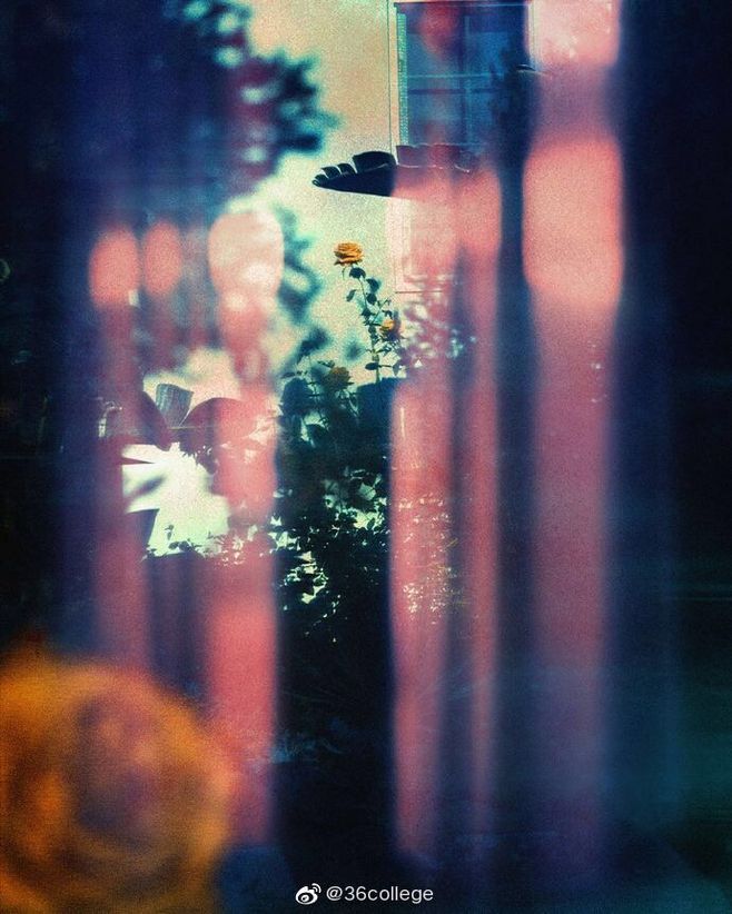 Frederick Dodson tweet media