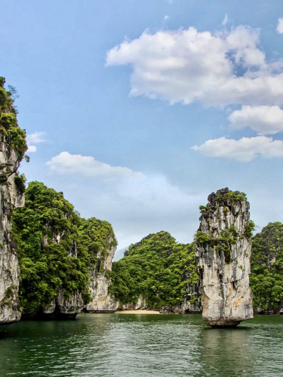 Globe Tucker tweet media