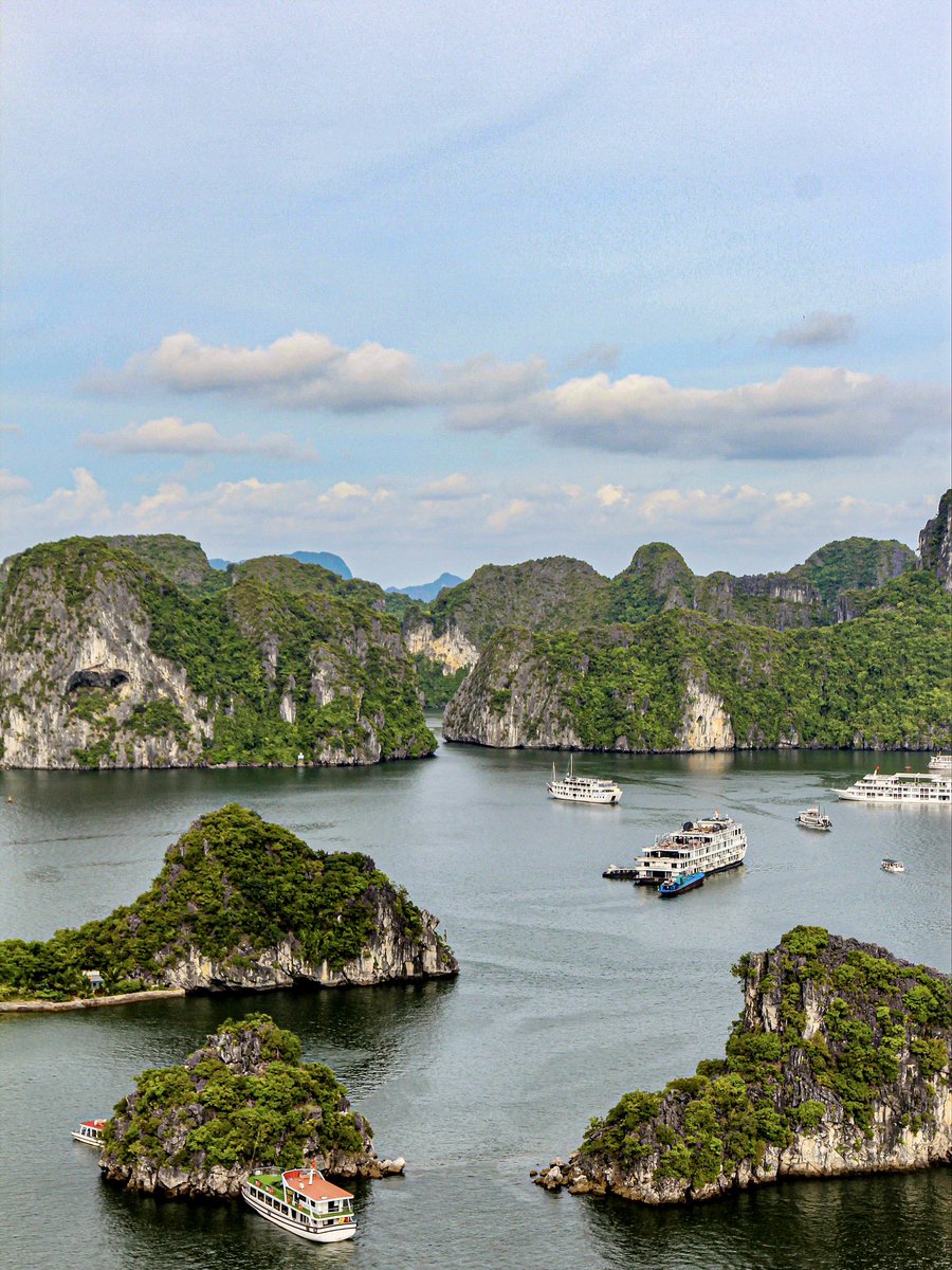 Globe Tucker tweet media