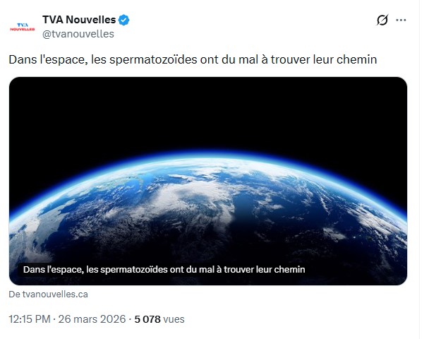 AlainMCr 🏴‍☠️ tweet media