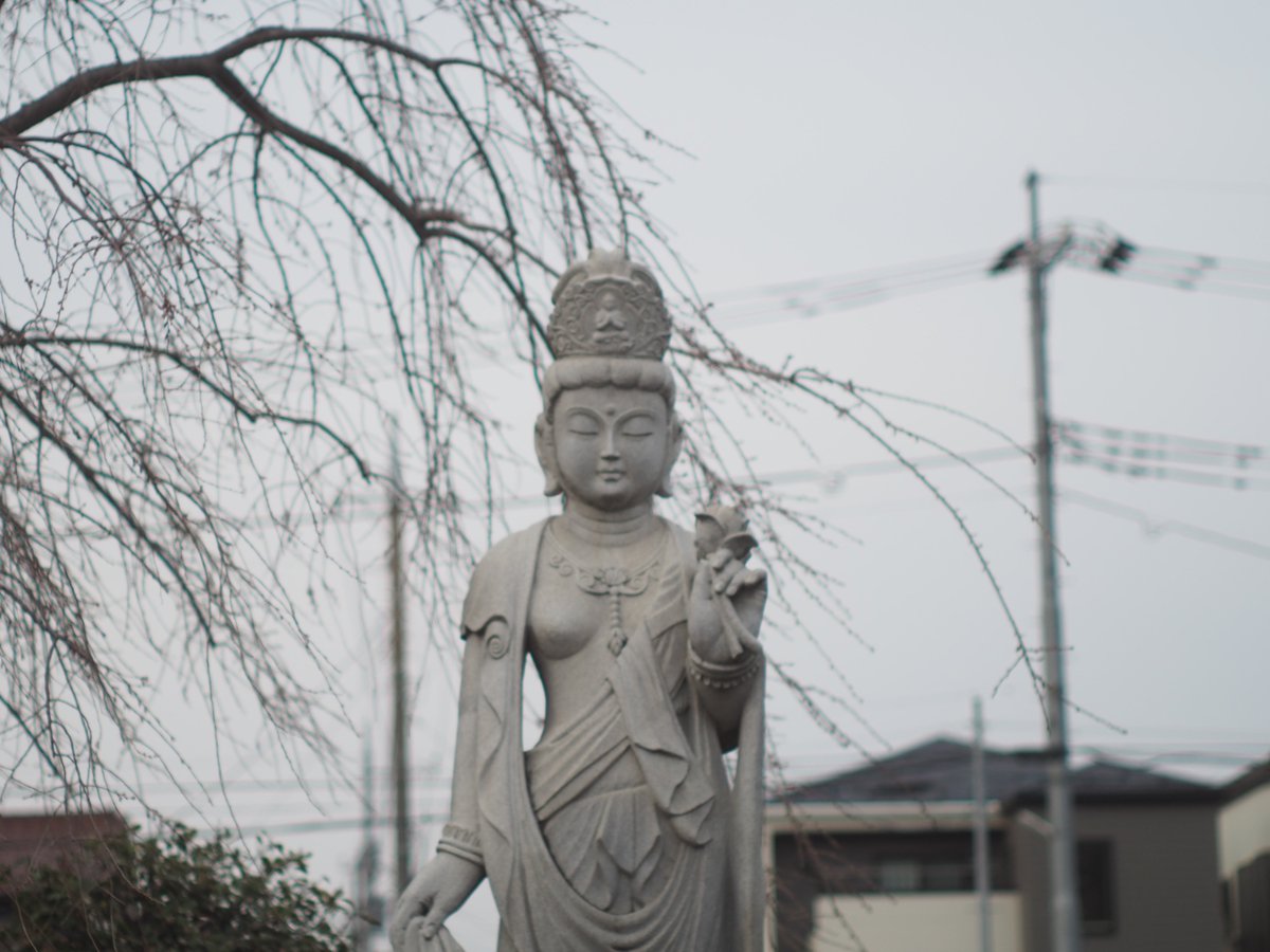 ダーク tweet media