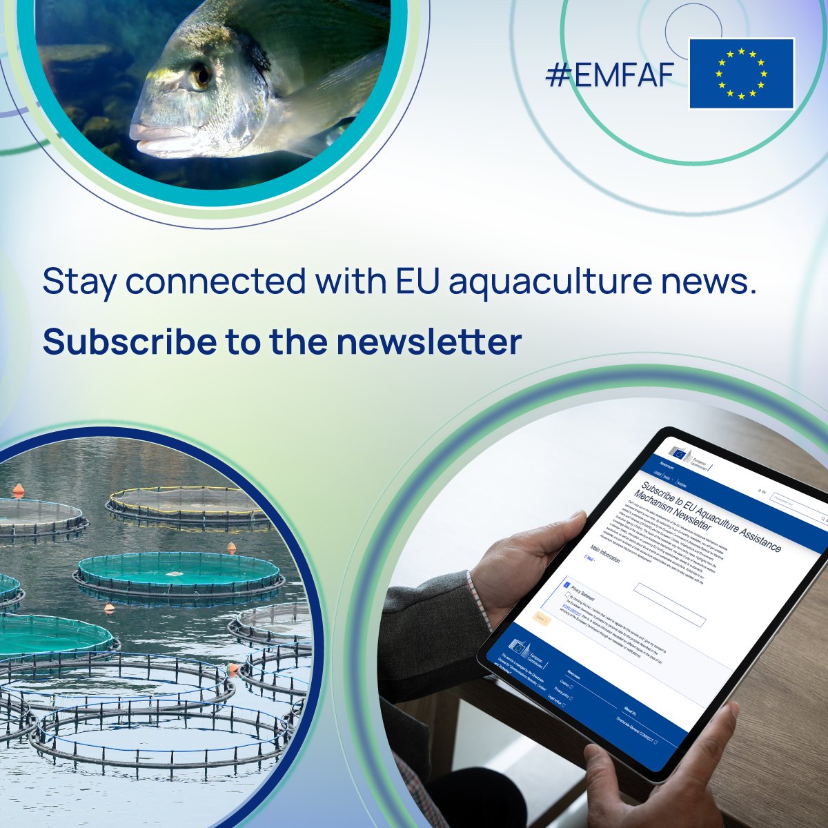 EU Maritime & Fish tweet media