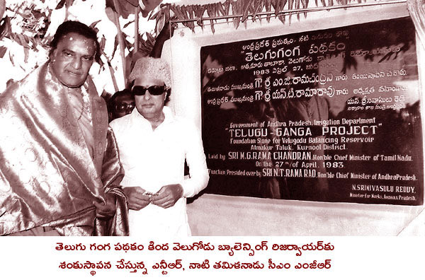 iTDP Official tweet media