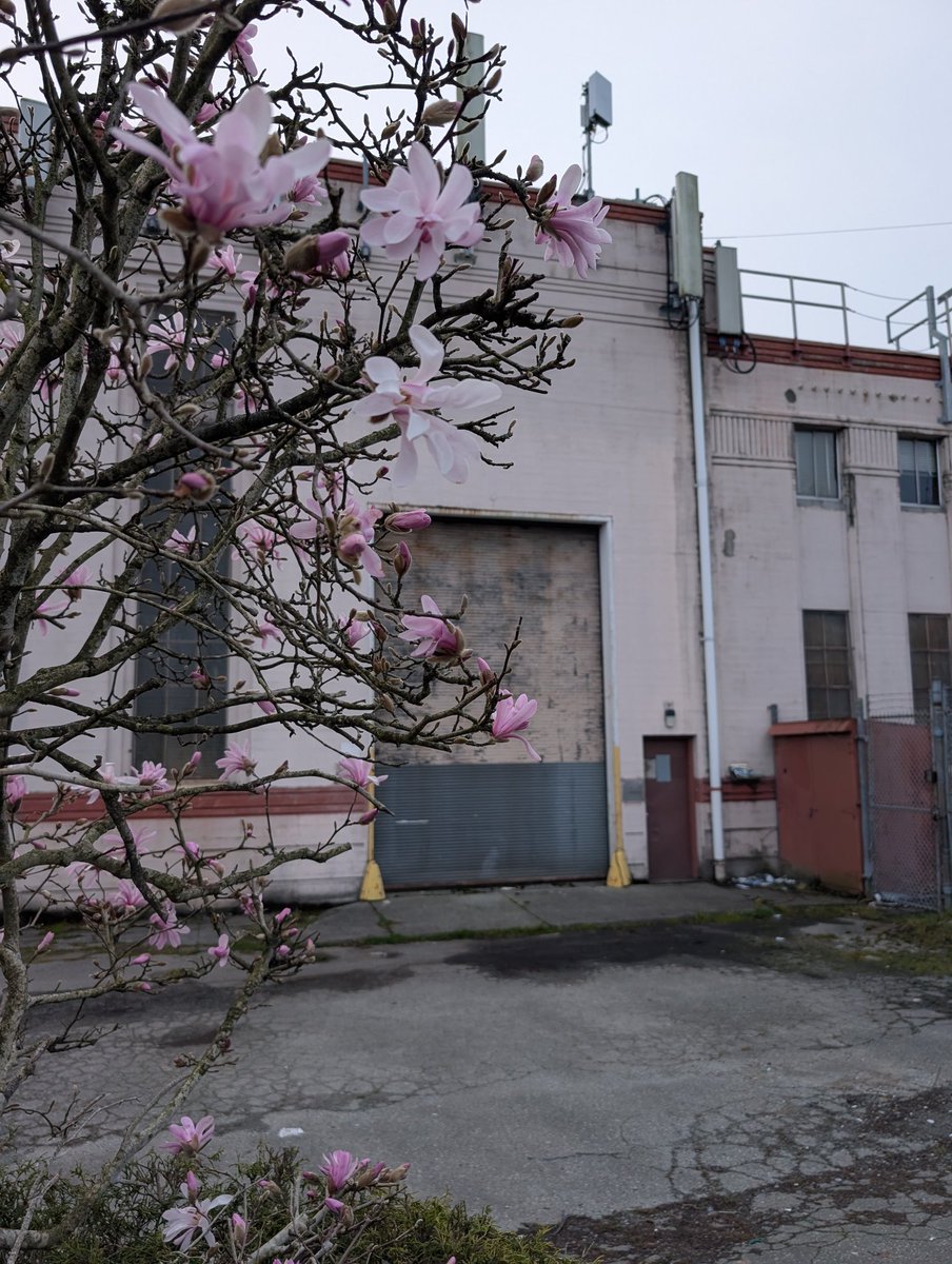 regular gem tweet media