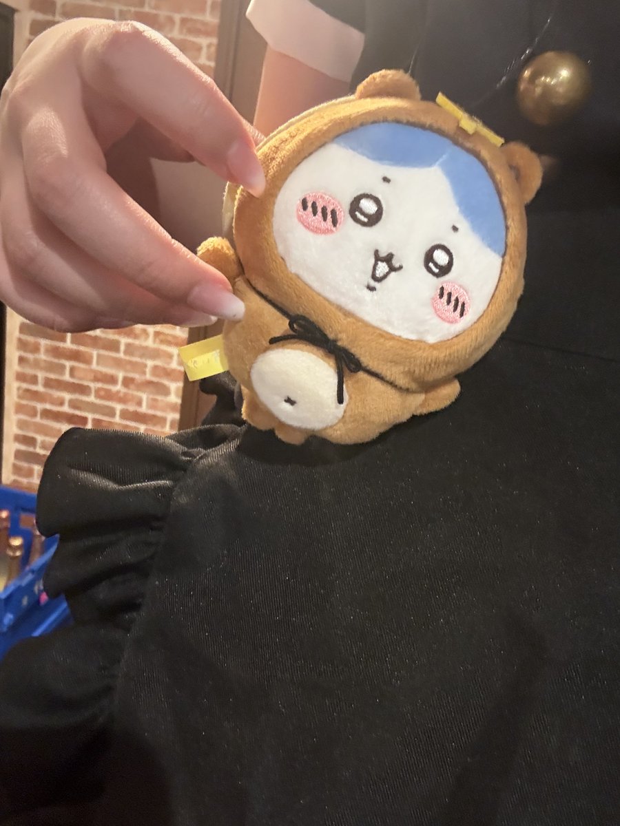 なな🐱ᩚ 桃猫堂池袋店 tweet media