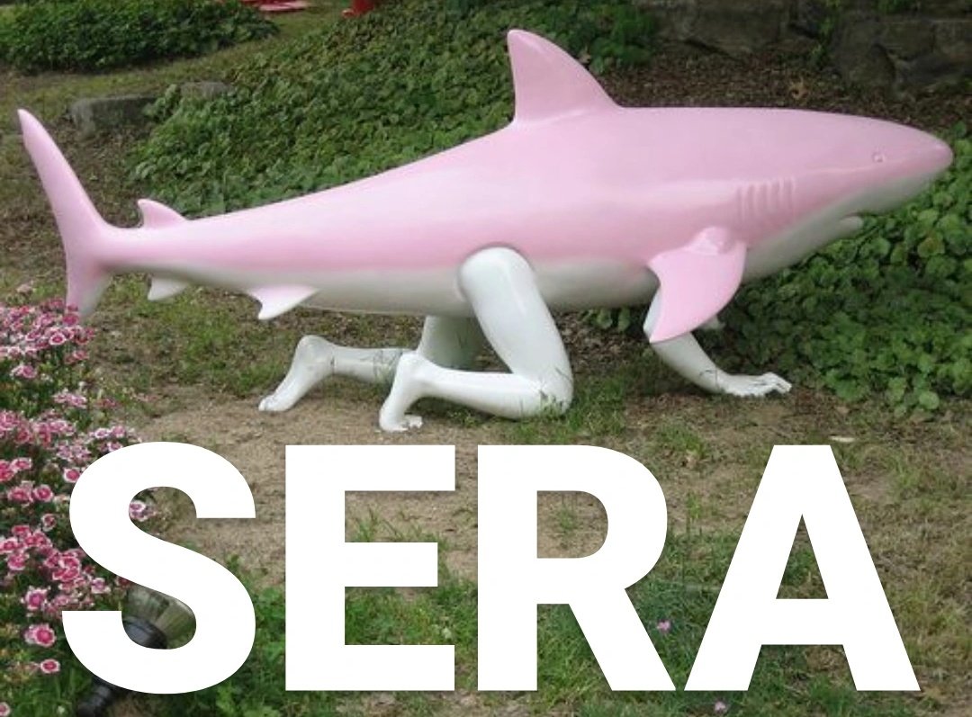 séraya 🥐 tweet media