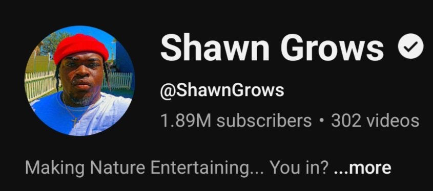 Jane 🐑 (slots 4/7) tweet media