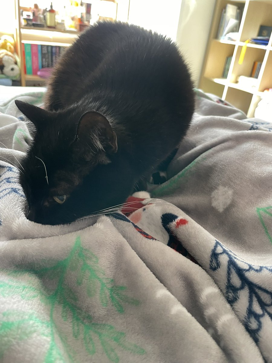 sorcha boots 🍉 tweet media