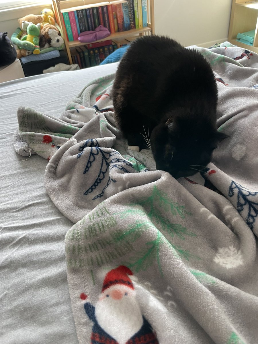 sorcha boots 🍉 tweet media