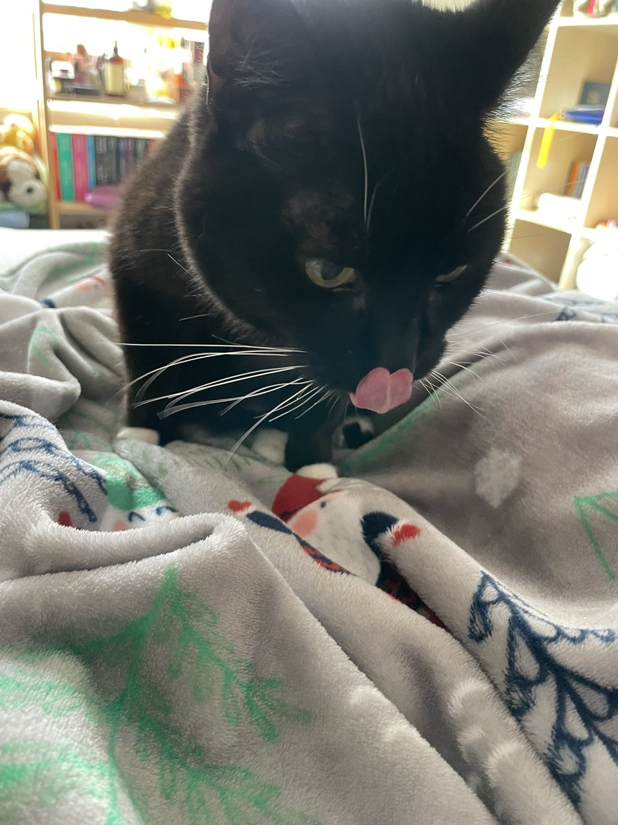 sorcha boots 🍉 tweet media