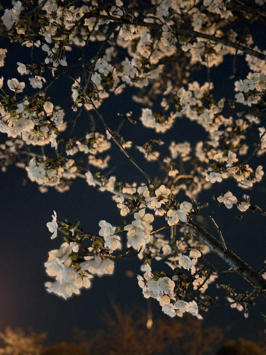 산림욕🌿🎗️ tweet media