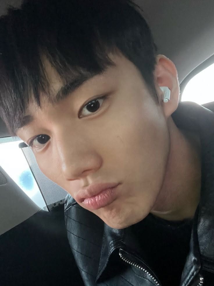 wasp⁺¹ is UNIQUE tweet media