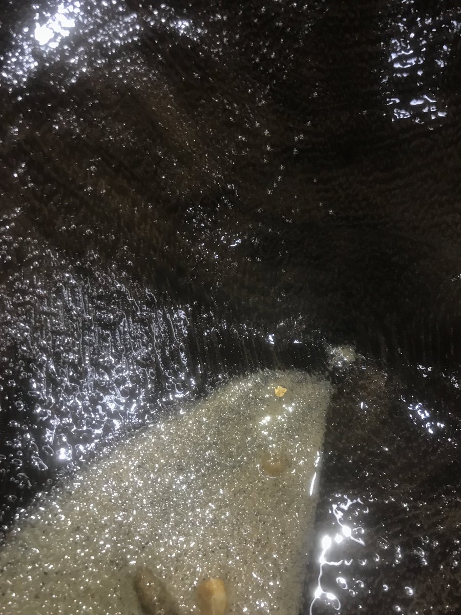 TOWNY LUV MONEY ✨🏹III⛎🍸 tweet media