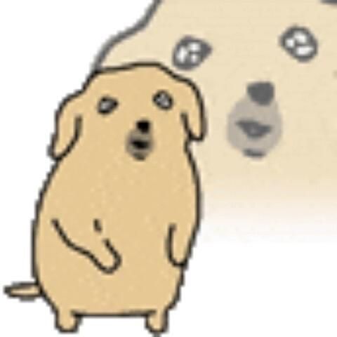 밈개🐶 tweet media