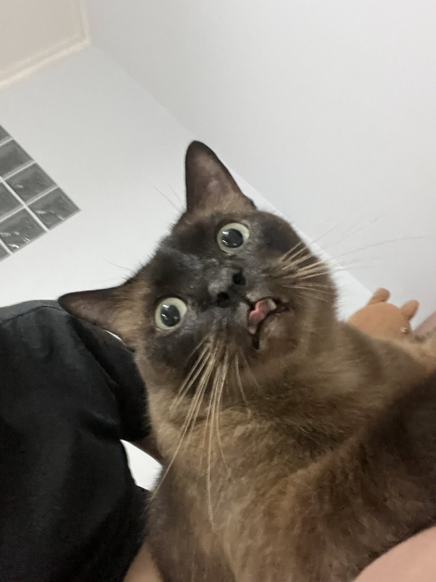 Beyandra Adhitya Xaquille tweet media