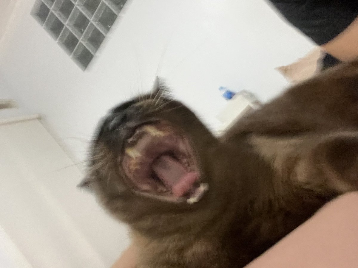 Beyandra Adhitya Xaquille tweet media